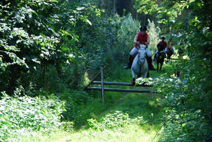 Knabstrupper Simone af lundegaard *MySoulMate! <3* billede 31