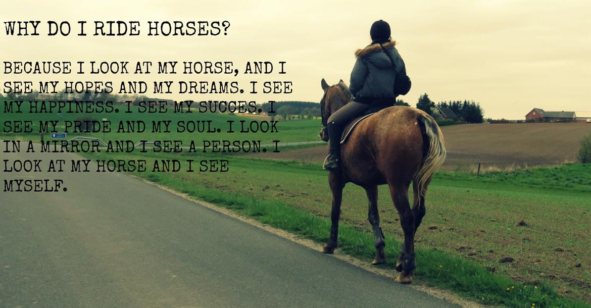 Knabstrupper Friis' Signe billede 2