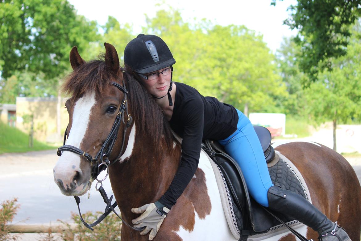 Pinto Hanson billede 1