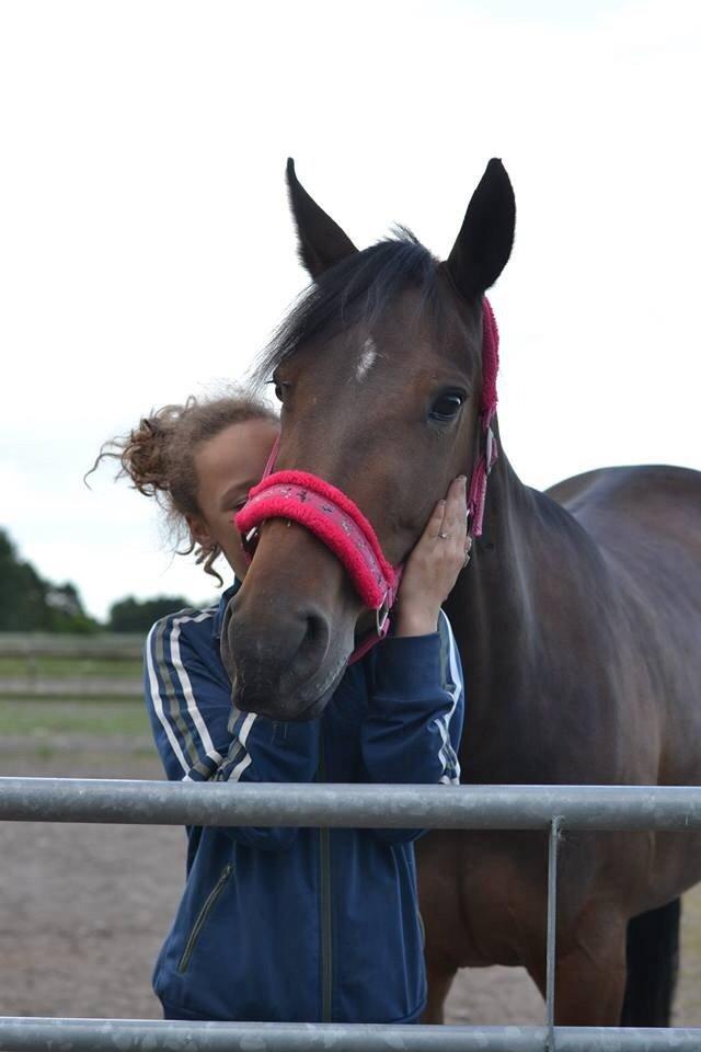 Traver Thedanishwaytorock billede 1