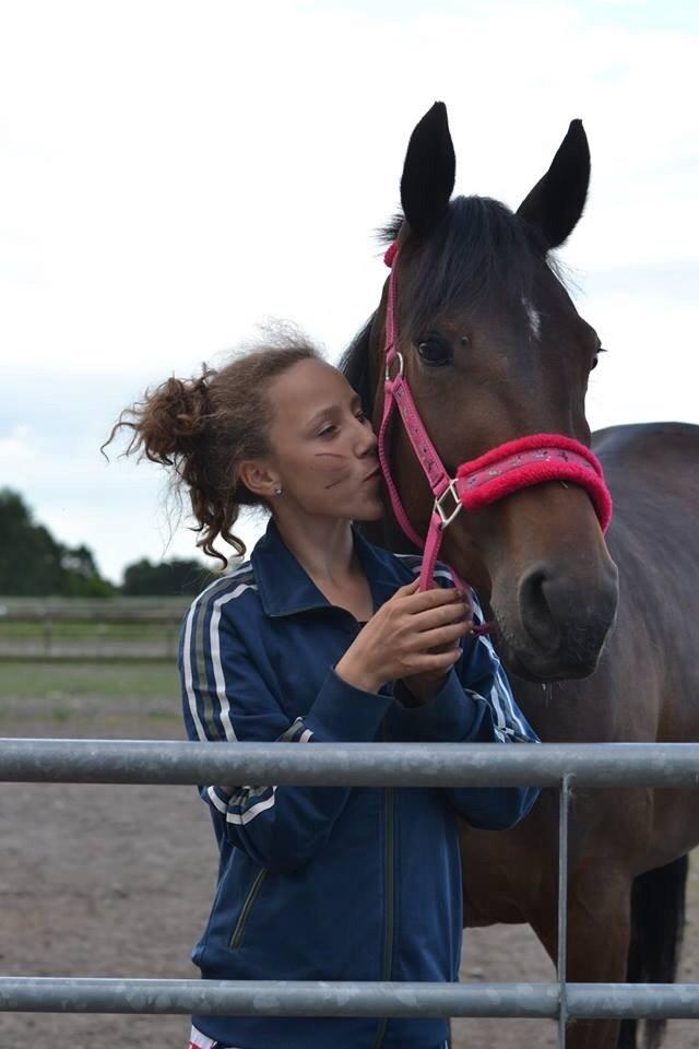 Traver Thedanishwaytorock billede 2