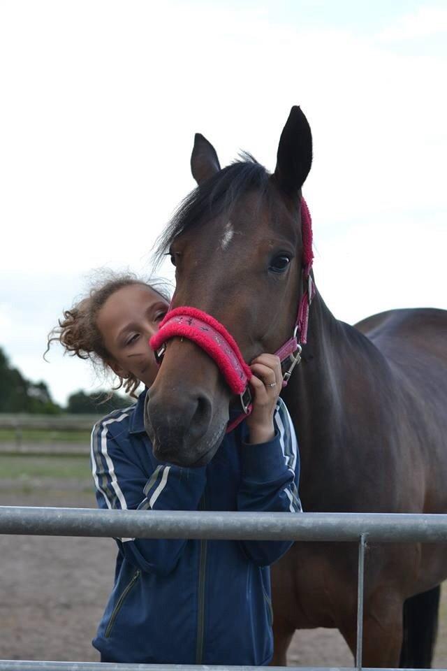 Traver Thedanishwaytorock billede 6