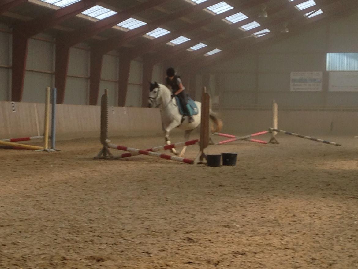 DSP Nørlunds Sunbeam billede 12