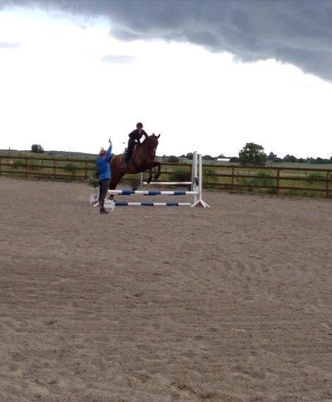 Anden særlig race Lundehøj`s Sasja billede 5