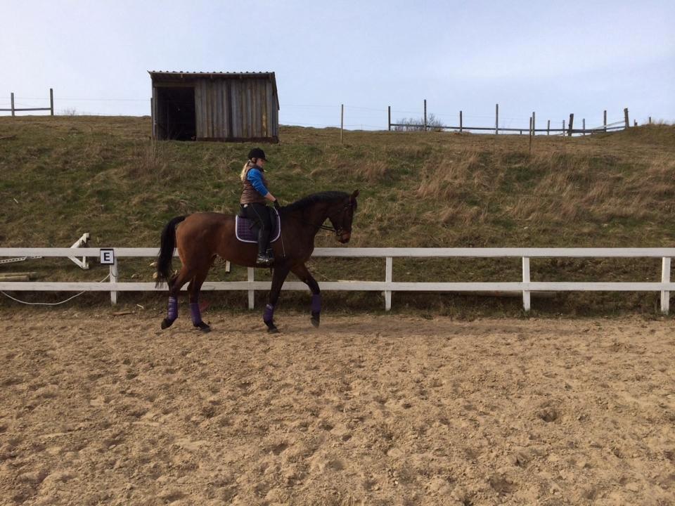 Anden særlig race Lundehøj`s Sasja billede 6