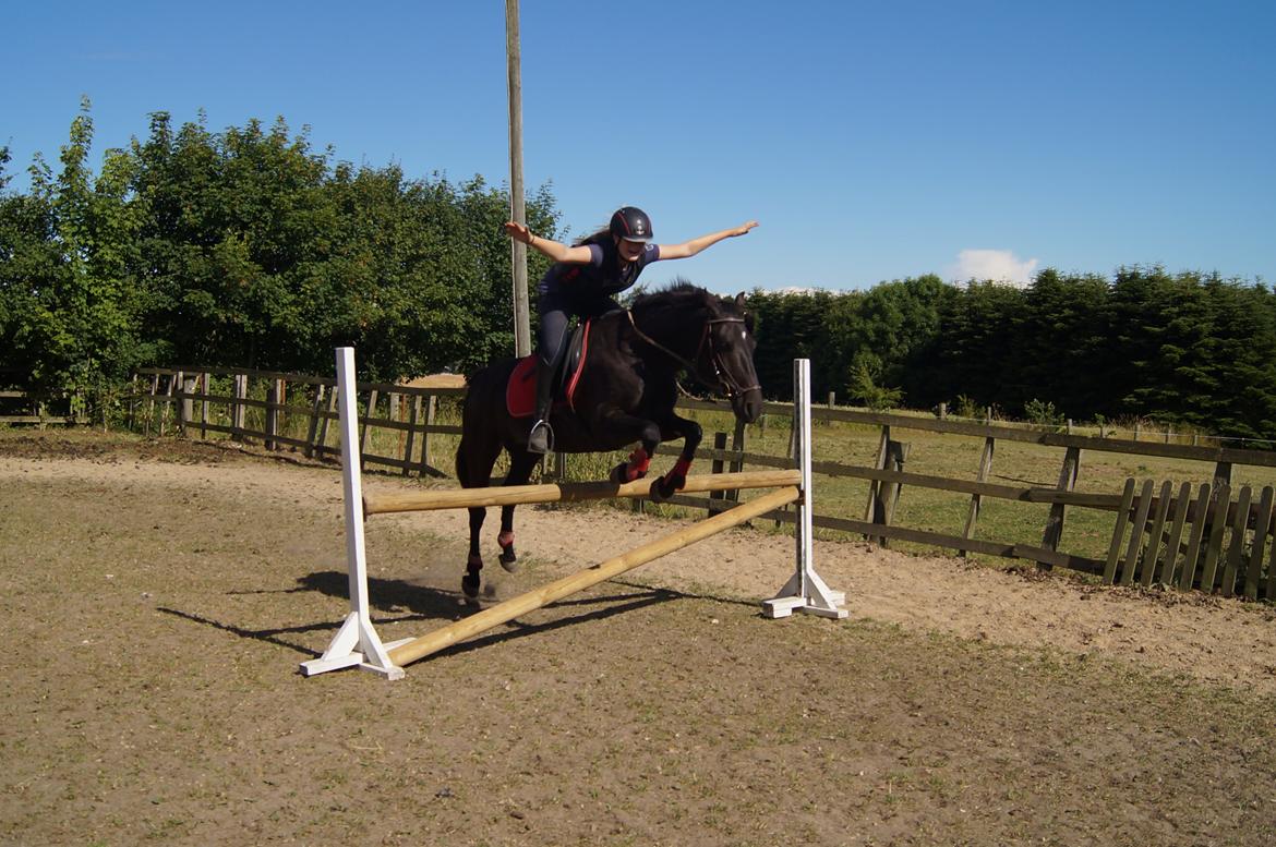 New Forest Victory Surprice!<3 R.I.P - Vi kan flyve sammen! <3 100 cm! <3 billede 7