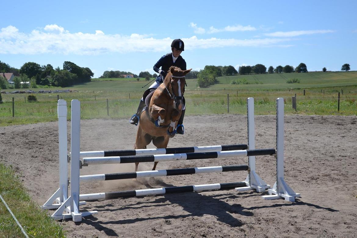 New Forest Engdalens Wendy - min bedste ven <3 - Wendy og jeg i Omhop med 20,70 sek i LC, vinder af klassen. Vores første stævn i hackamore <3 Foto: JHB - Fotografi billede 47