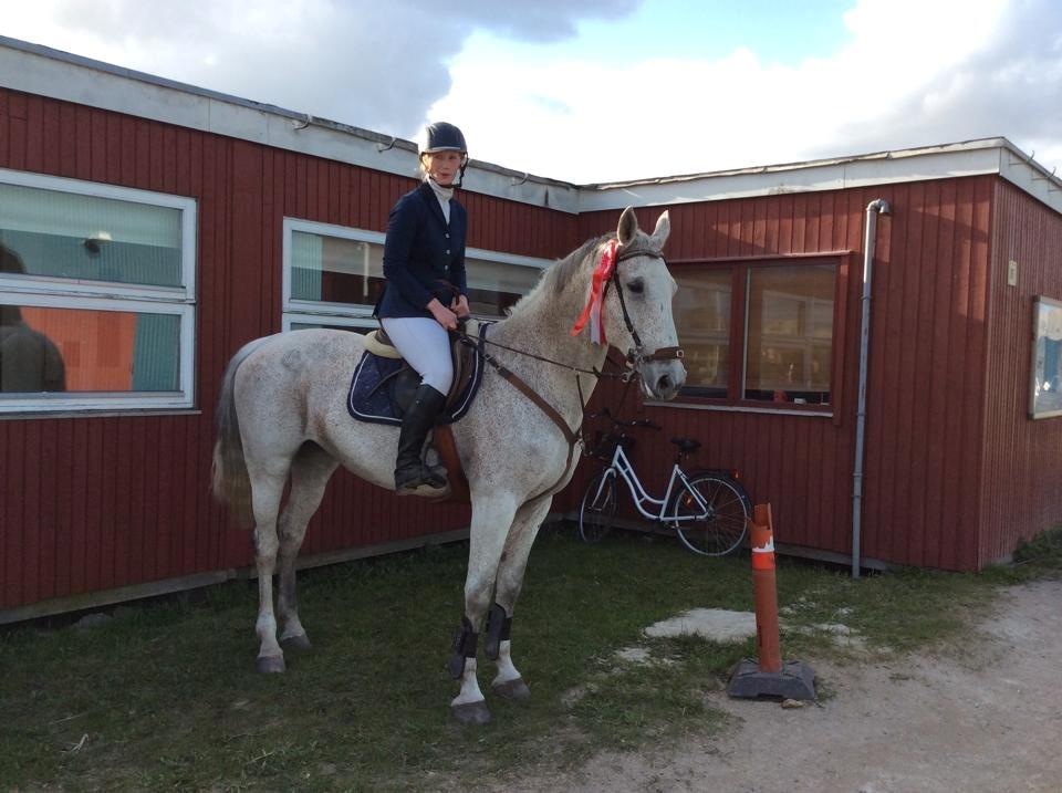 Tjekkisk Varmblod  Wavo carta billede 5