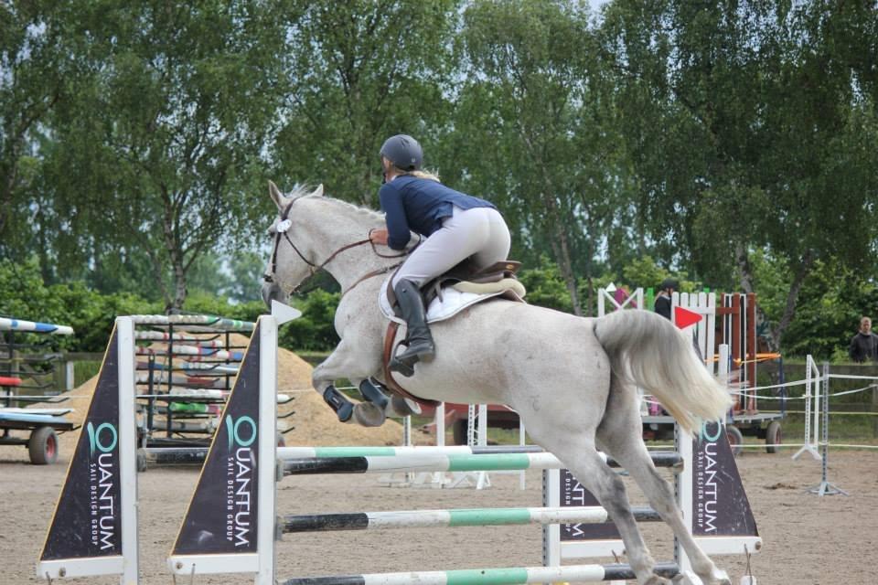 Tjekkisk Varmblod  Wavo carta billede 7