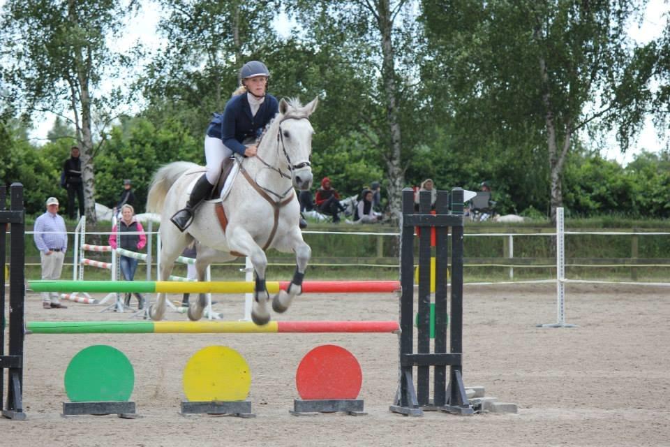 Tjekkisk Varmblod  Wavo carta billede 8