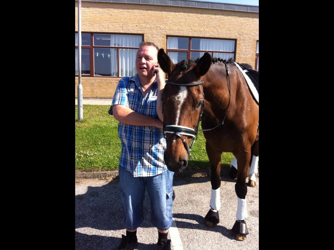 Dansk Varmblod Lindergårdens Loke billede 8