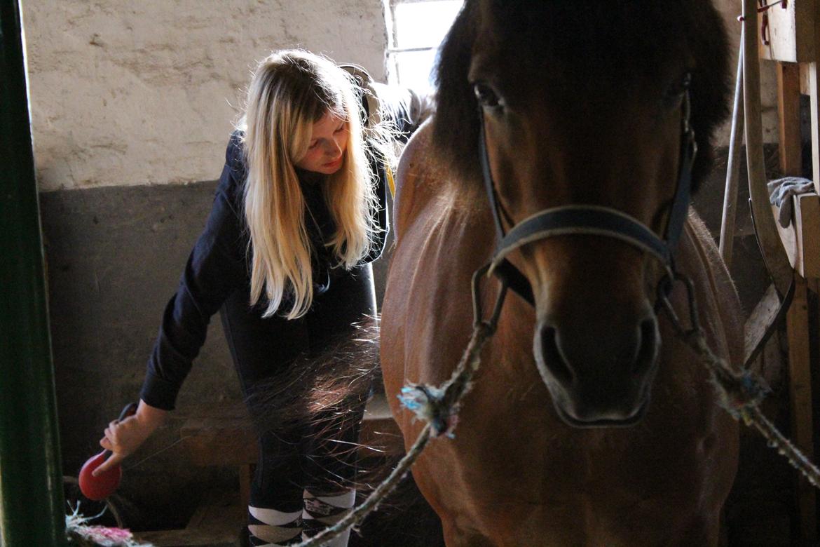 Anden særlig race Freja billede 4