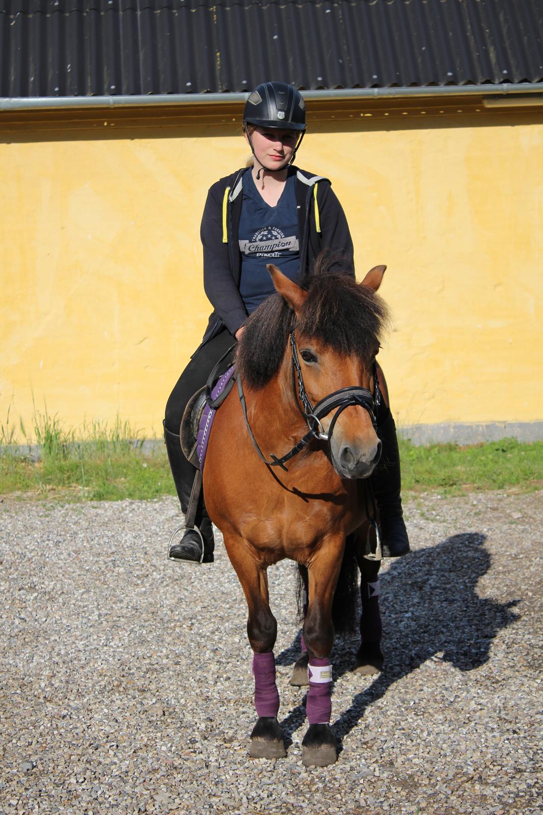 Anden særlig race Freja billede 2