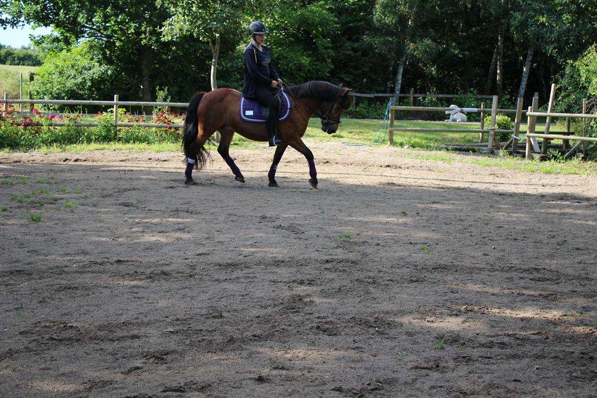 Anden særlig race Freja billede 14