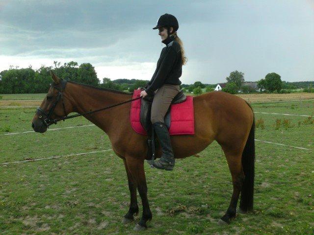 Traver Rosado (Rosa) - 26-06-2014  billede 19