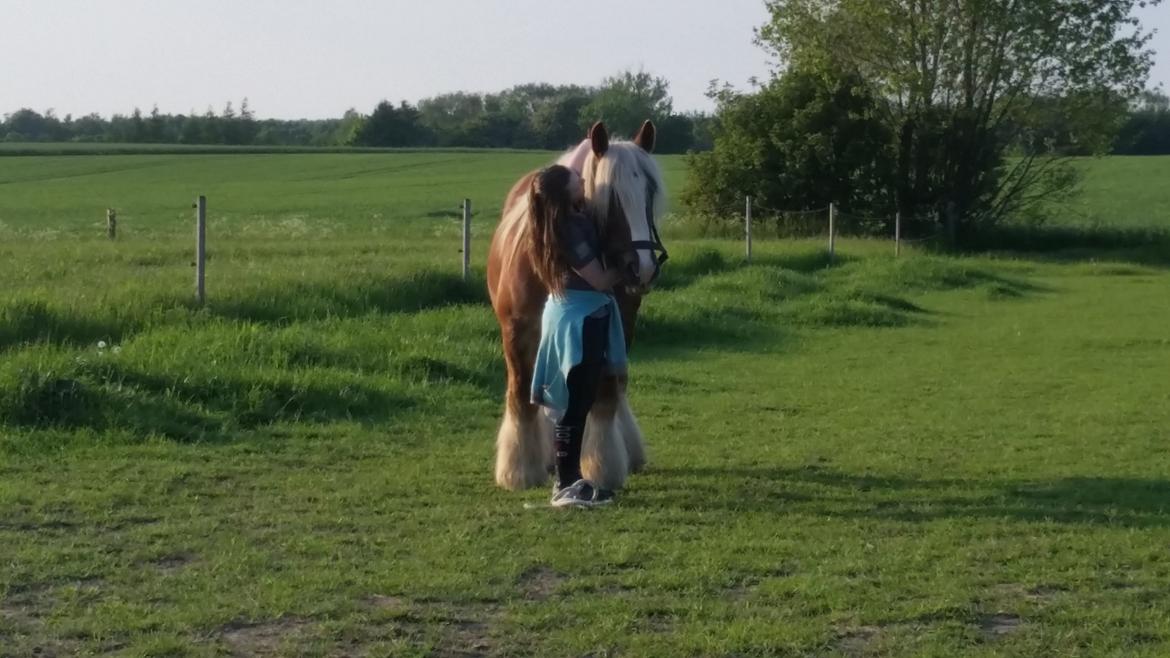 Jyde Josephine billede 1