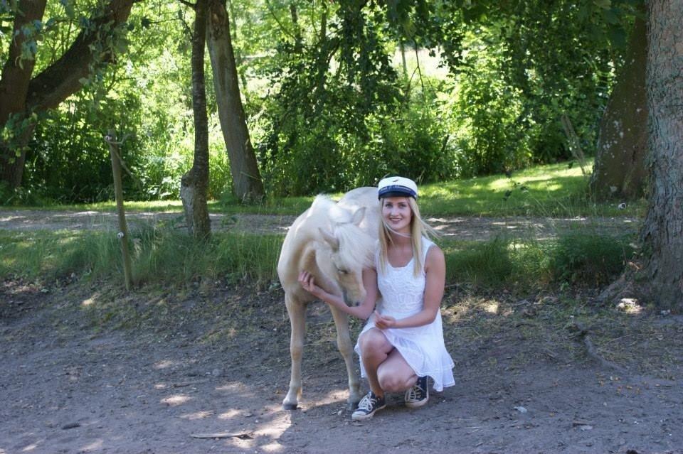 Welsh Partbred (Sec F) Marnows Princess In Pink -tidligere pony billede 18