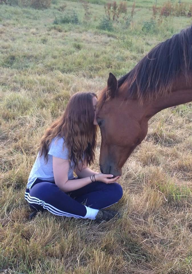 Dansk Varmblod TWINHORS DON'A BALLERINA billede 14