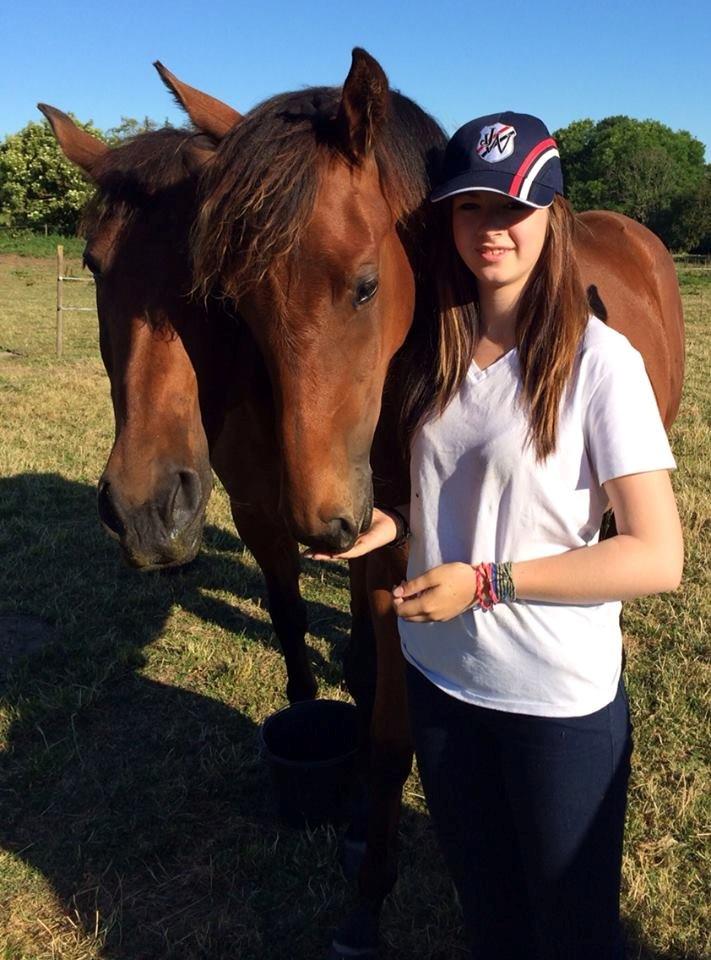 Dansk Varmblod TWINHORS DON'A BALLERINA billede 15