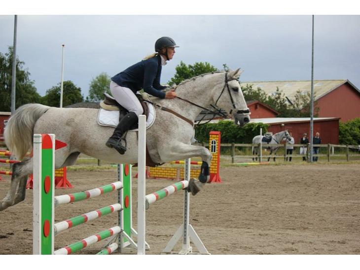 {{currentPhoto.altText}} billede {{currentPhoto.number}}