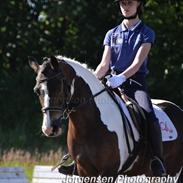 Anden særlig race Master Mind