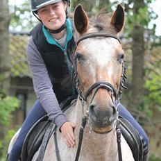 Knabstrupper Tessa <3