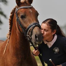 New Forest AH´s Golden Nemo