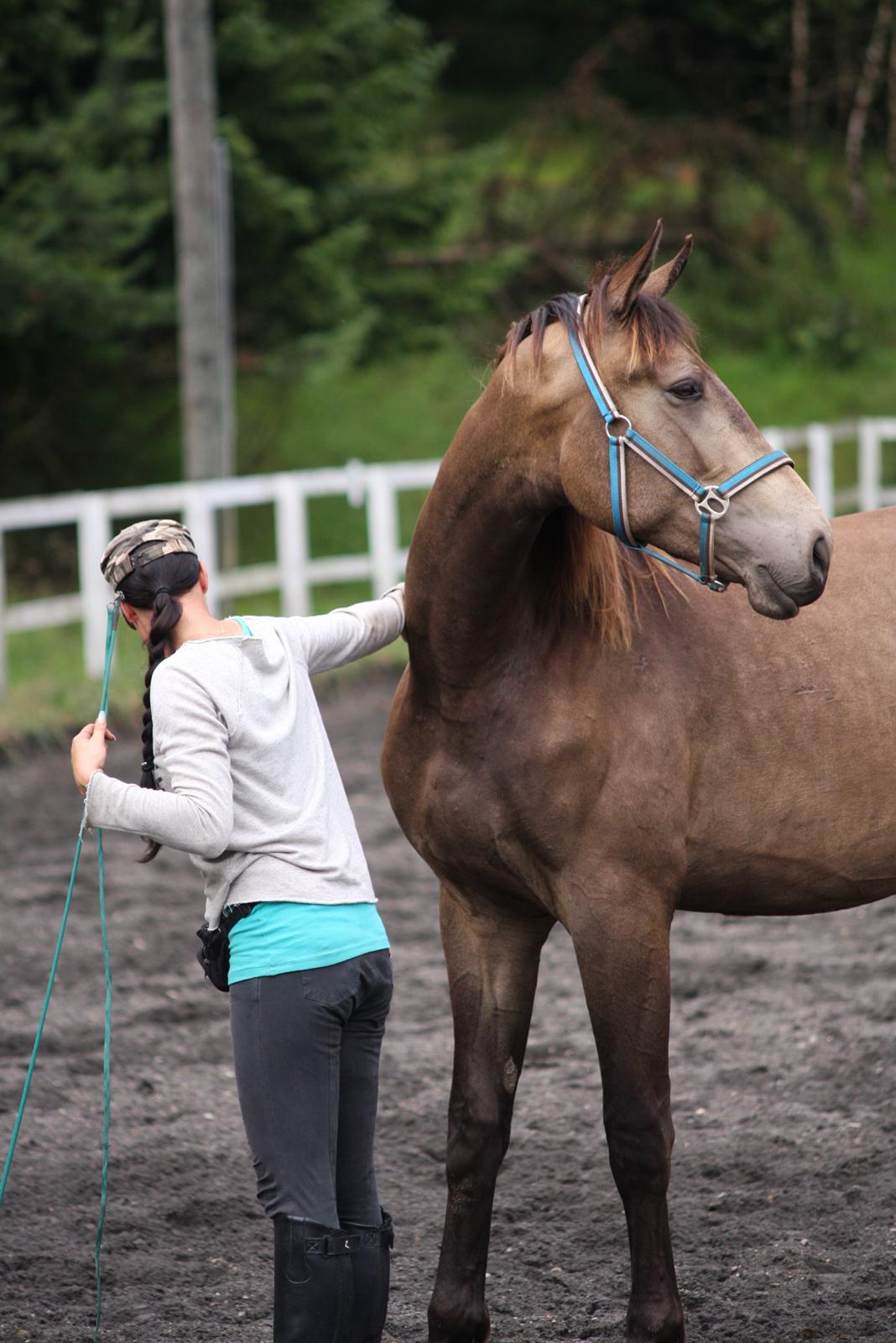 Anden særlig race Klitgaards Maximilian*R.I.P* billede 4