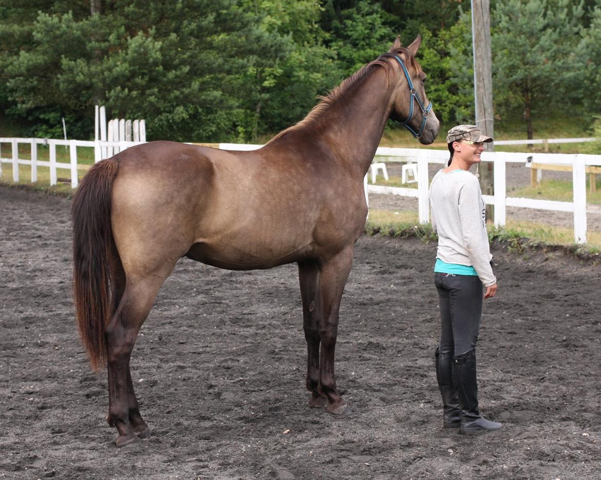 Anden særlig race Klitgaards Maximilian*R.I.P* billede 8