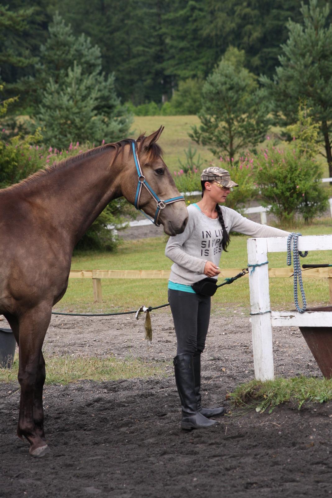 Anden særlig race Klitgaards Maximilian*R.I.P* - 27/6 2014.... My golden diamant <3 billede 10