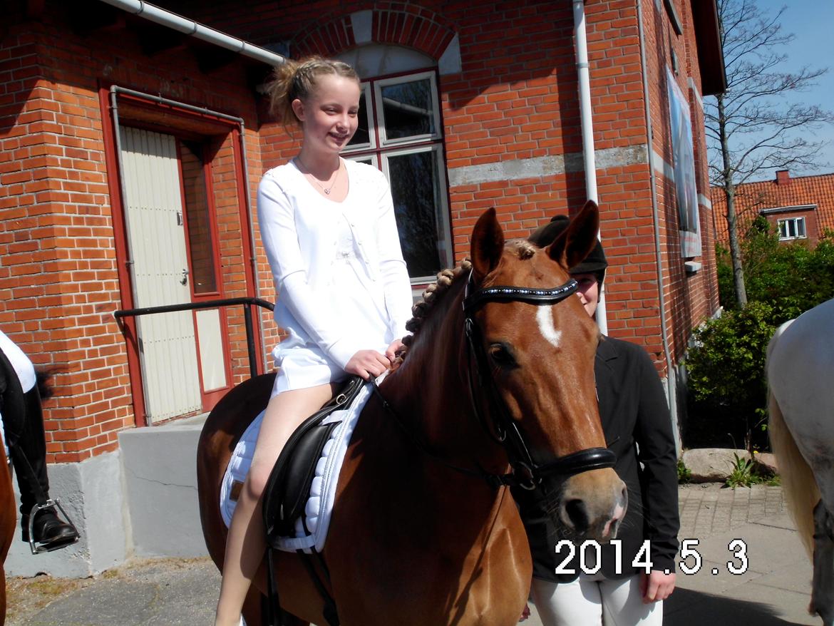 New Forest Kantje´s Isabella AKA Pony - Min konfirmation 3 maj 2014. billede 10