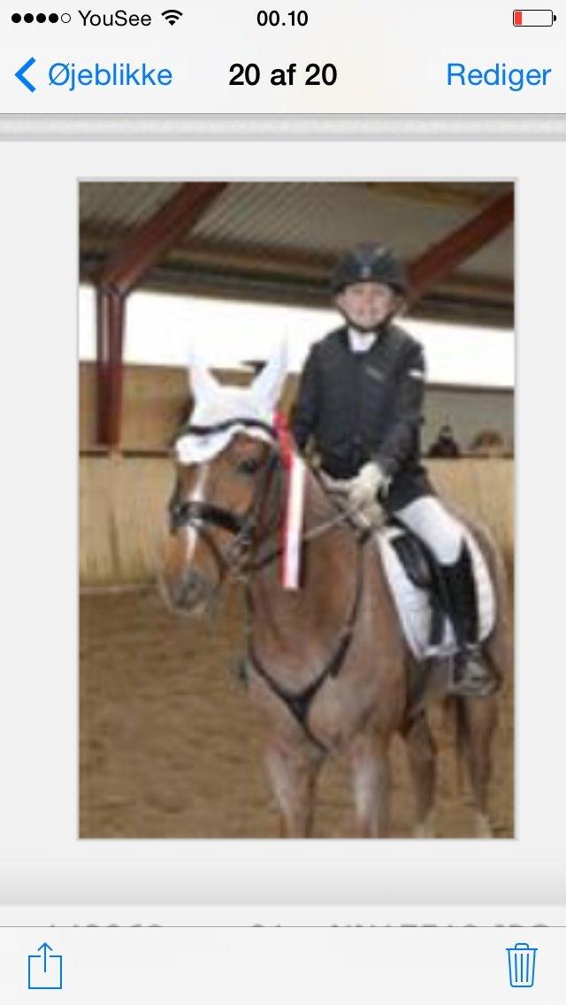 DSP Ll. sludekildes Faust billede 19