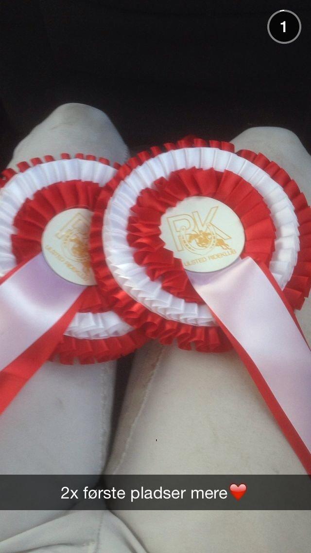 DSP Ll. sludekildes Faust billede 20