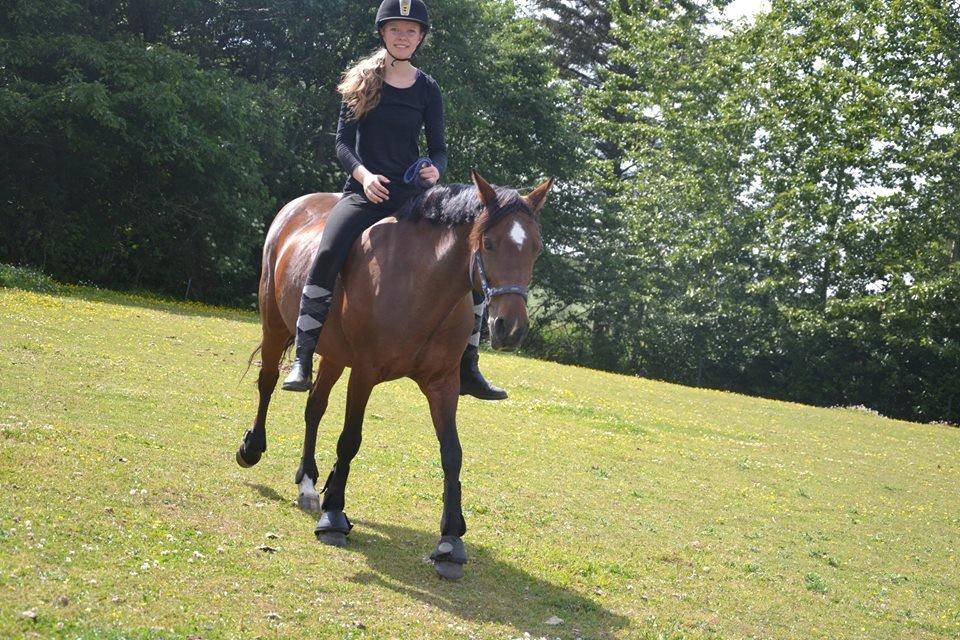 DSP Bæklunds Camikka billede 17