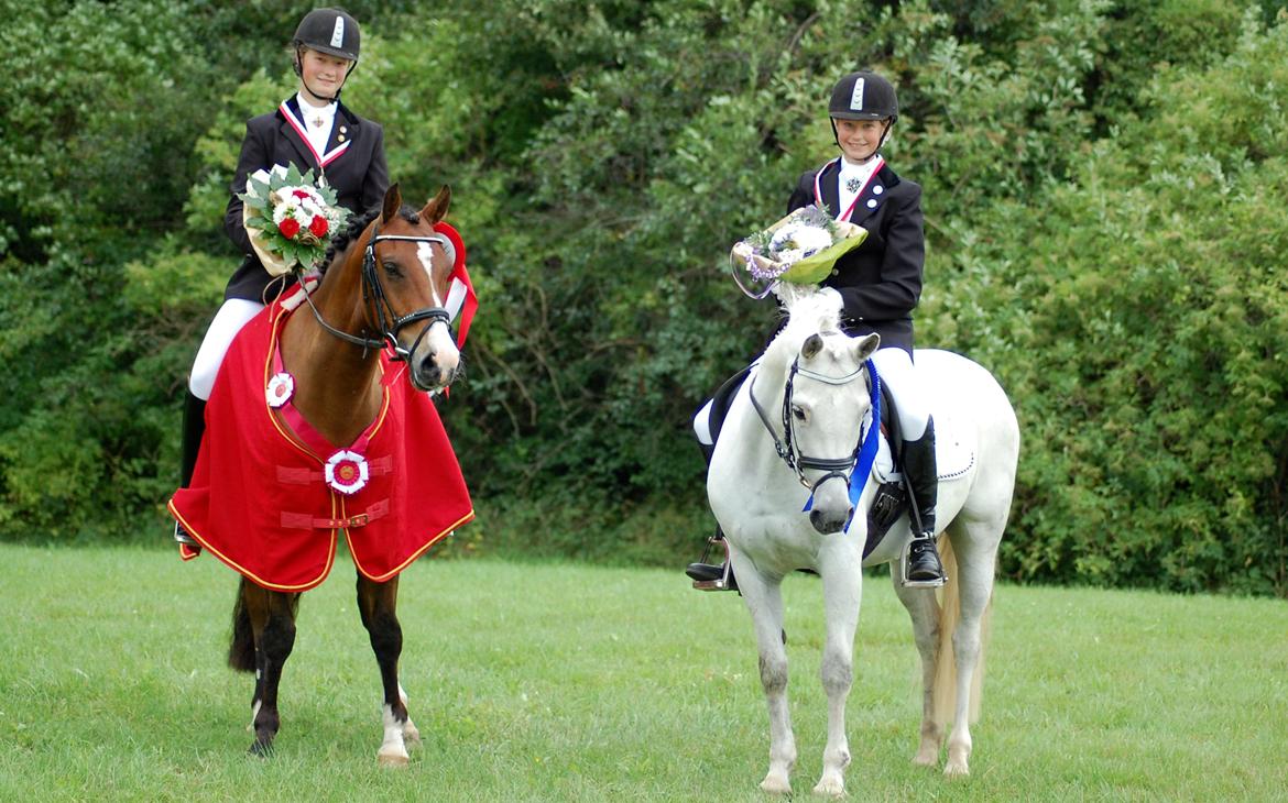 New Forest Øxenborg's Papagena billede 22
