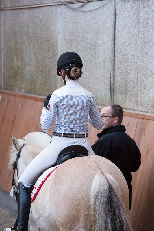 Fjordhest Nemo Hovborg billede 3