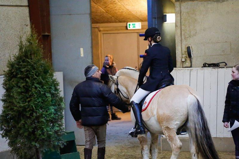 Fjordhest Nemo Hovborg billede 12