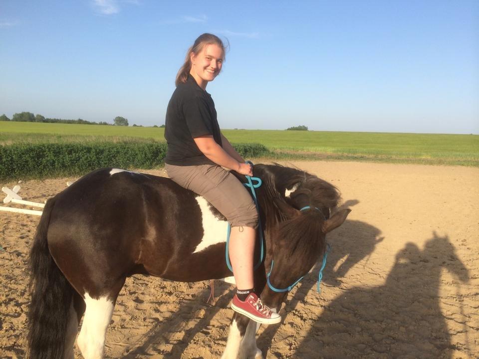 Islænder Hannibal frá Höskuldsstaðum - Lidt parelli træning billede 6