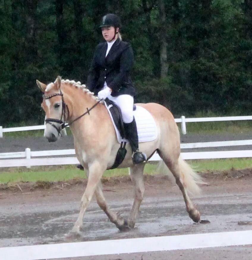 Haflinger Ålebækgård Winaro - Sæby rideklub LC1 60,80 % billede 18