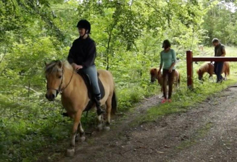 Anden særlig race Charlie billede 8