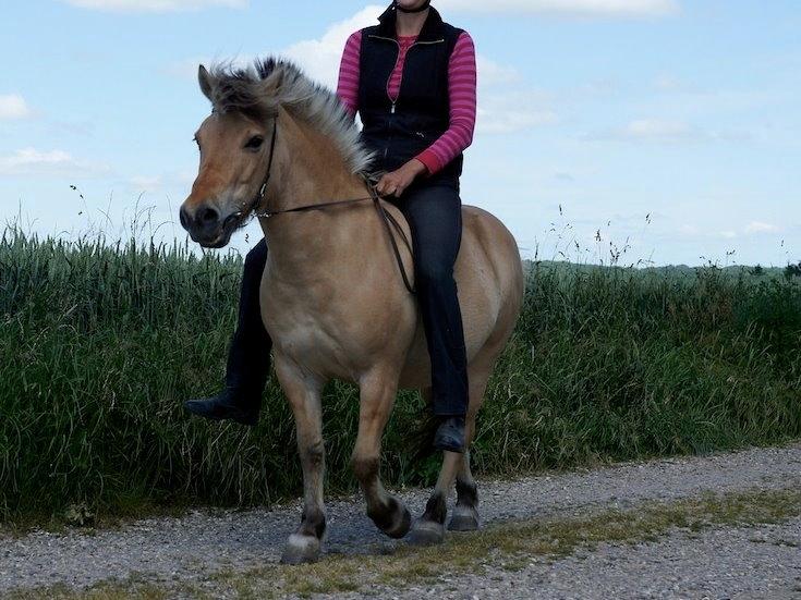 Anden særlig race Charlie - Ulla på skridttur op og ned ad grusvejen på miniCharlie :) billede 9