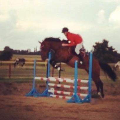 Ungarnsk Varmblod  Lili - 80 cm på SRK billede 8