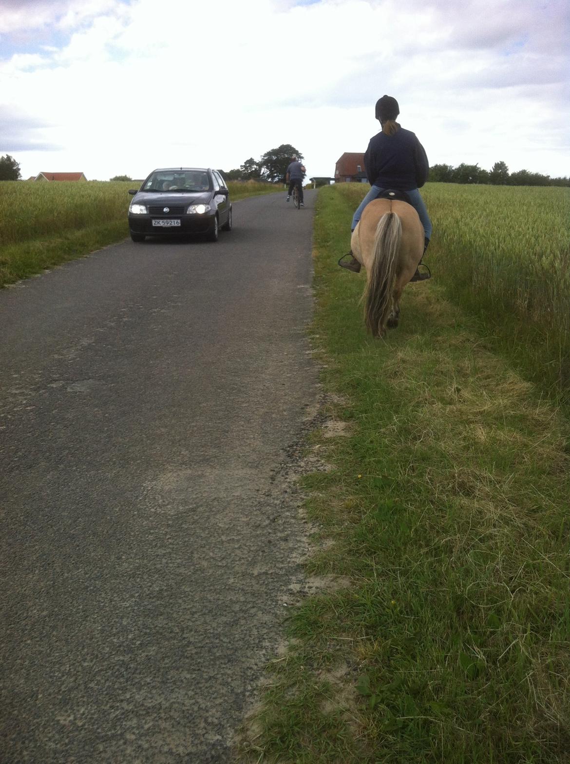 Anden særlig race Charlie - Trafiksikker er han også :)  billede 21