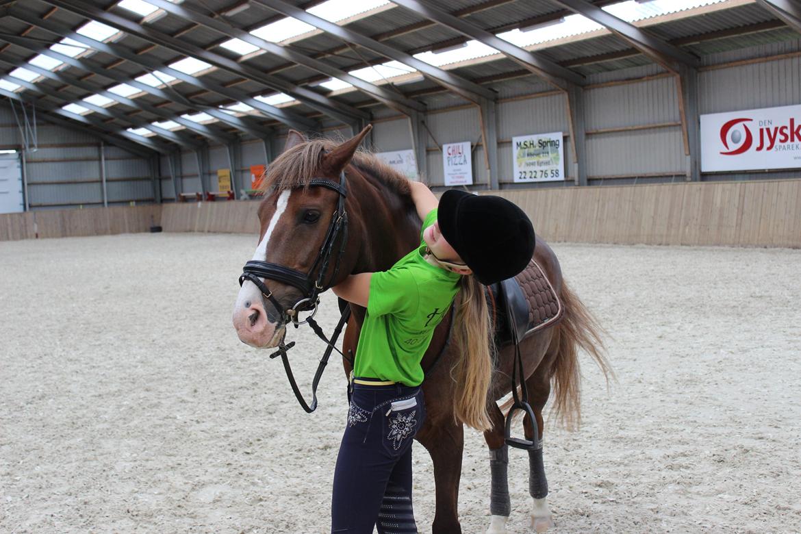 New Forest Koedijks Milano *Låner* - Milano den sidste dag inden han blev solgt..  billede 19