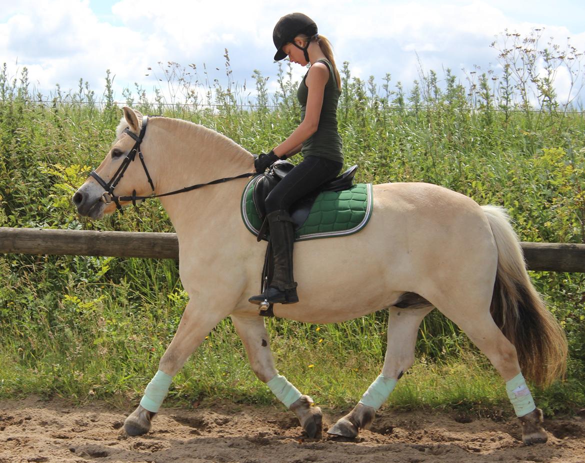 Anden særlig race Frederik billede 12