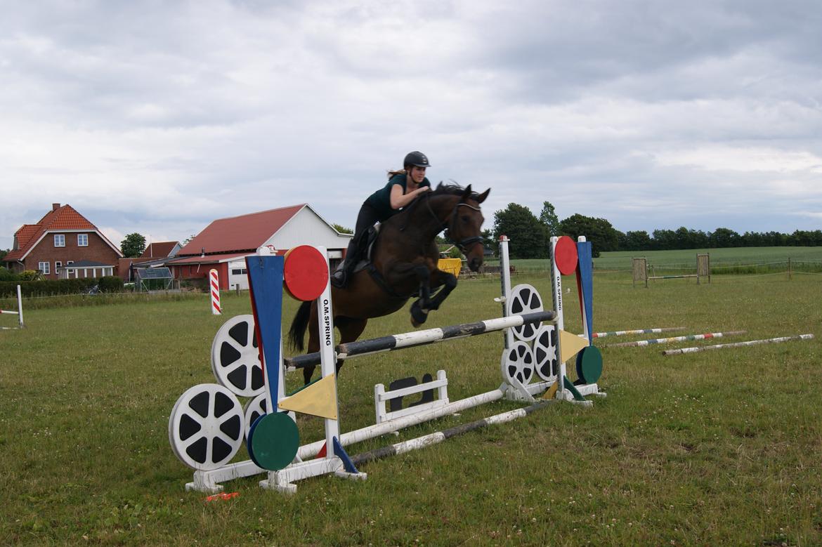 Anden særlig race Rapsodia - 110 cm (y) billede 22