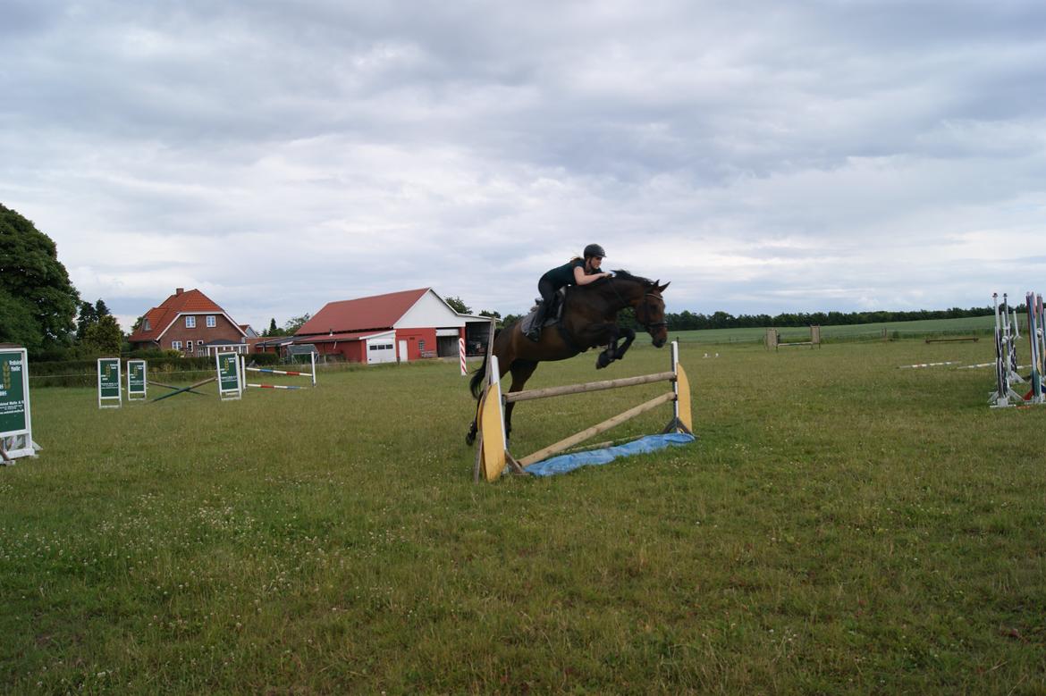 Anden særlig race Rapsodia - Vandgrav - hun kiggede ikke engang, men sprang bare ud i det! billede 24