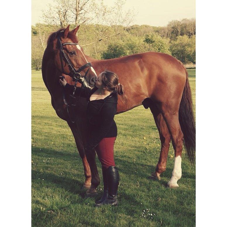 Holstener Le Poul billede 1