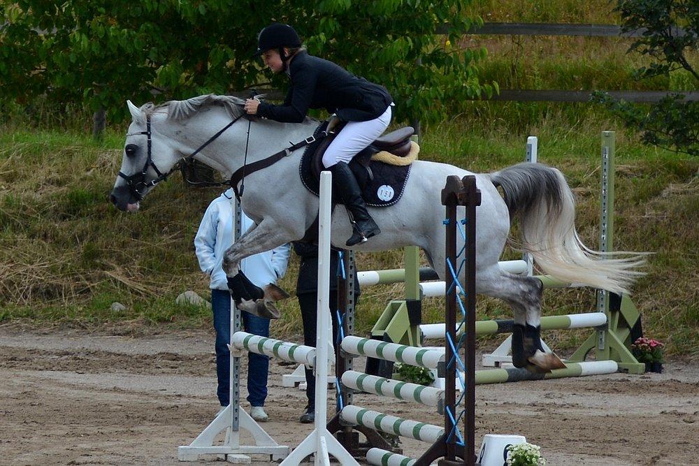 Arabisk fuldblod (OX) TIL MINDE om Gaudeamus - Skårup Overgård 2014. 3 dagsstævne billede 48