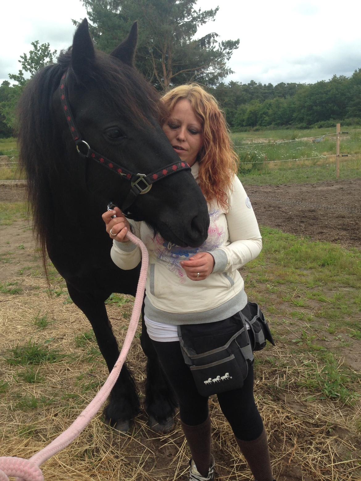 Fell pony Ellegaards Donna billede 24